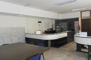 foto biblioteca