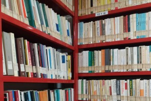 foto biblioteca