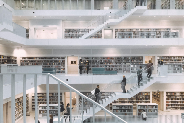 Scuola Universitaria Professionale della Svizzera Italiana  SUPSI-DFA : Biblioteca